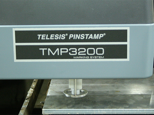 Telesis Pinstamp